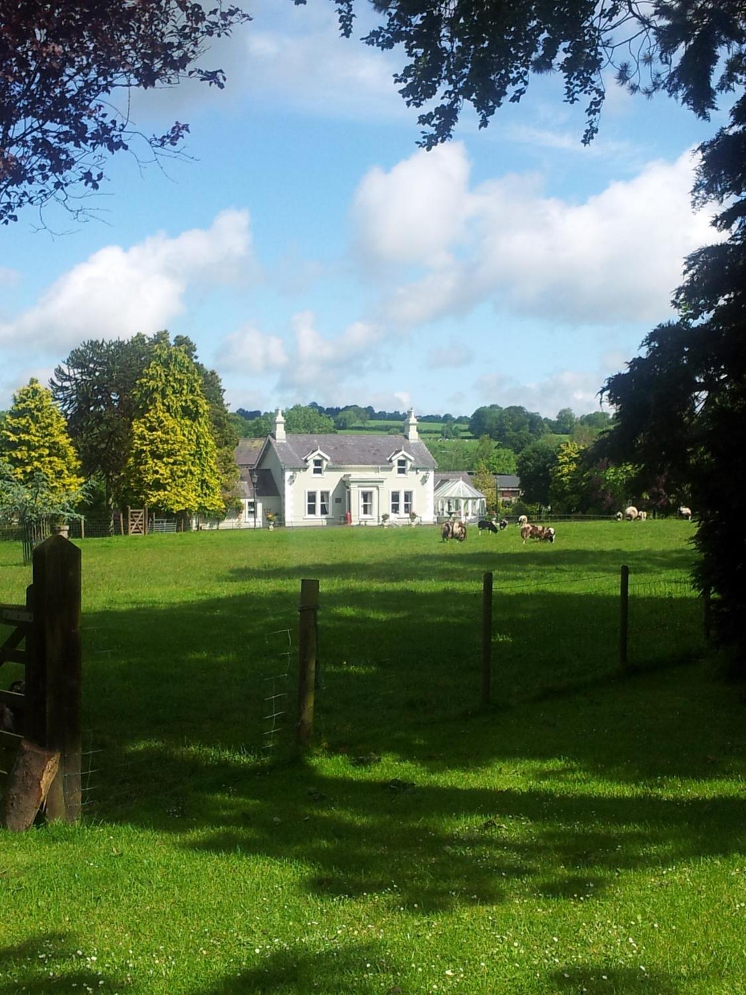 Brookhall Cottages Lisburn Dış mekan fotoğraf